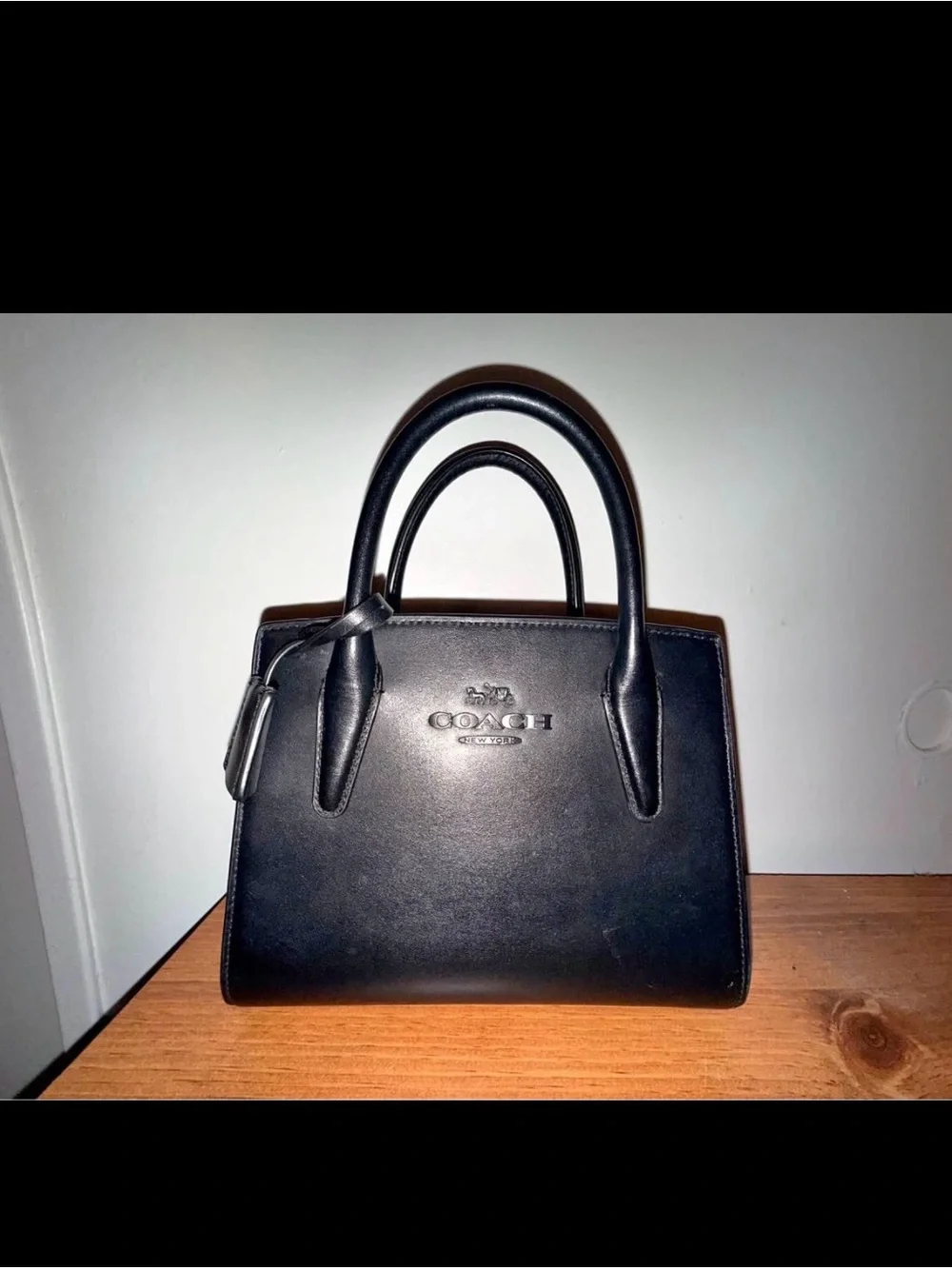 Coach Black Andrea Mini Caryall